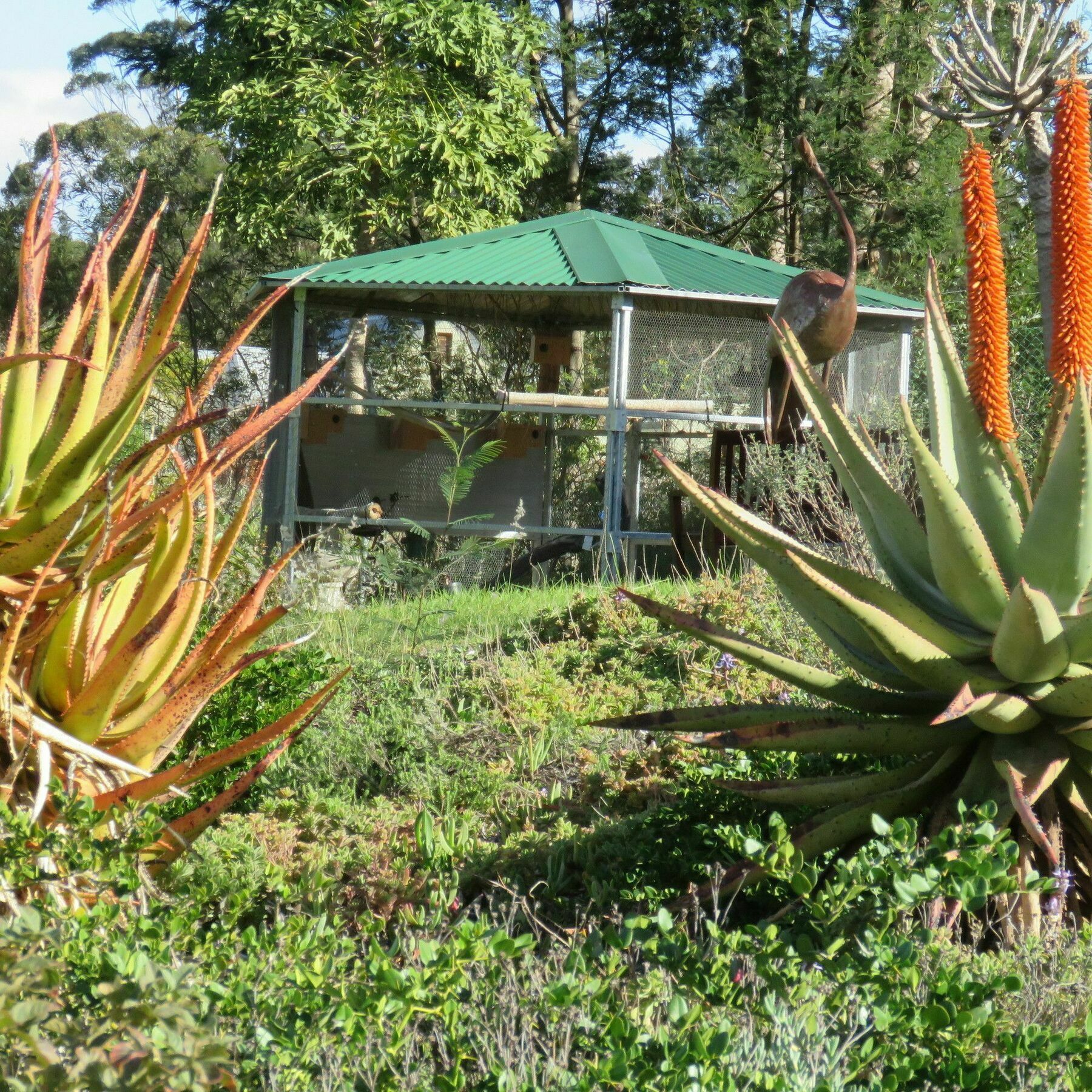 Langeberg Guest Lodge Свелендам Екстериор снимка
