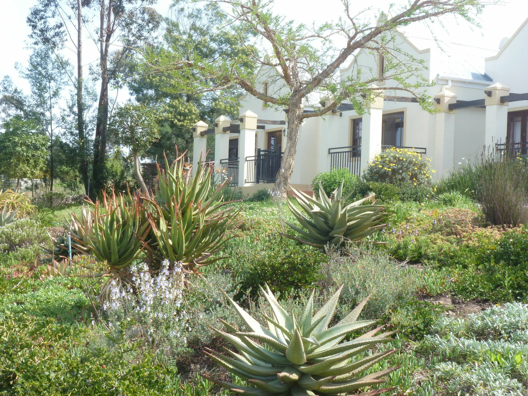 Langeberg Guest Lodge Свелендам Екстериор снимка